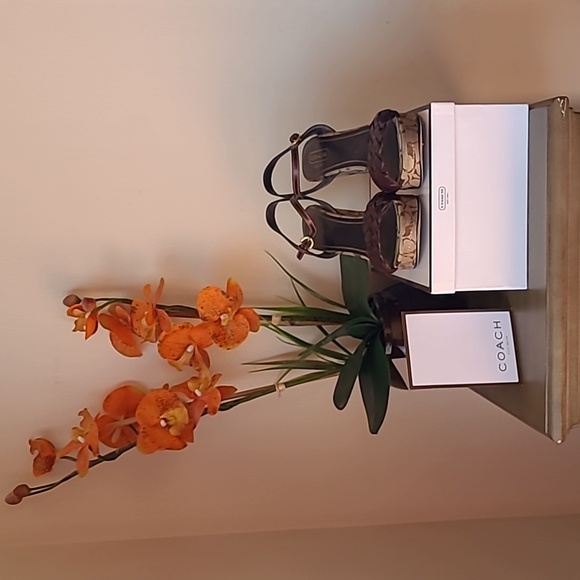 Coach Robina Vacchett Wedge Sandal - Picture 16 of 16